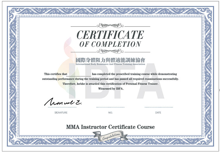 Mixed Martial Arts (MMA) Certification
