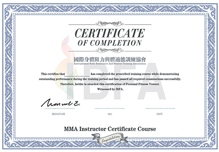 Mixed Martial Arts (MMA) Certification